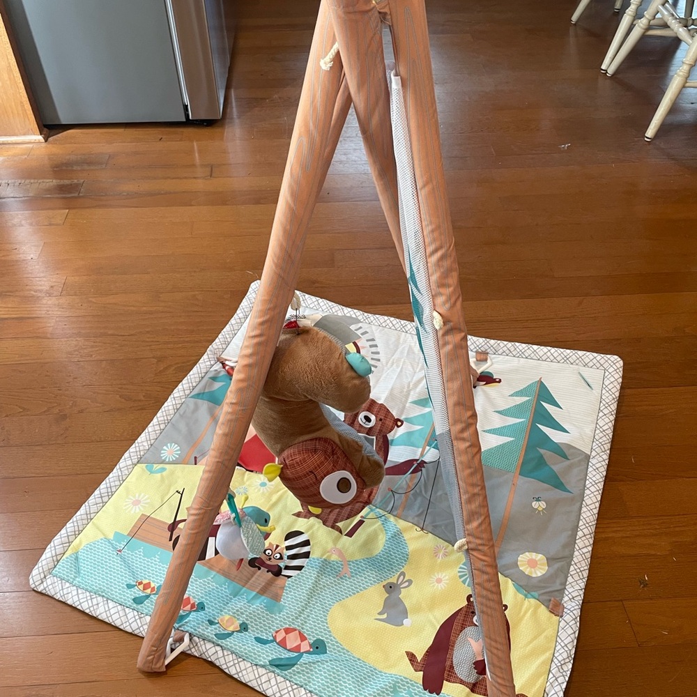 SkipHop Woodland Adventure Play Gym for Kids